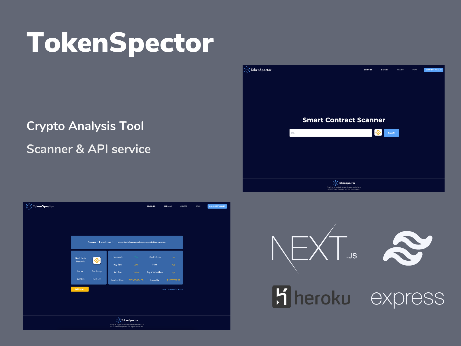 TokenSpector - Scanner and API Service